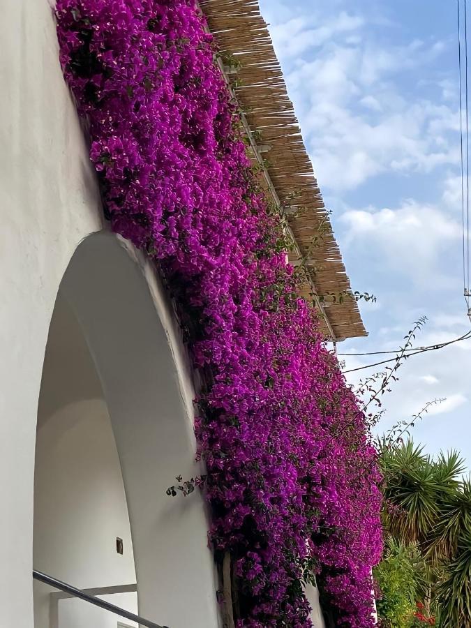 Roberhouse Tragara 37 Apartment Capri Exterior foto